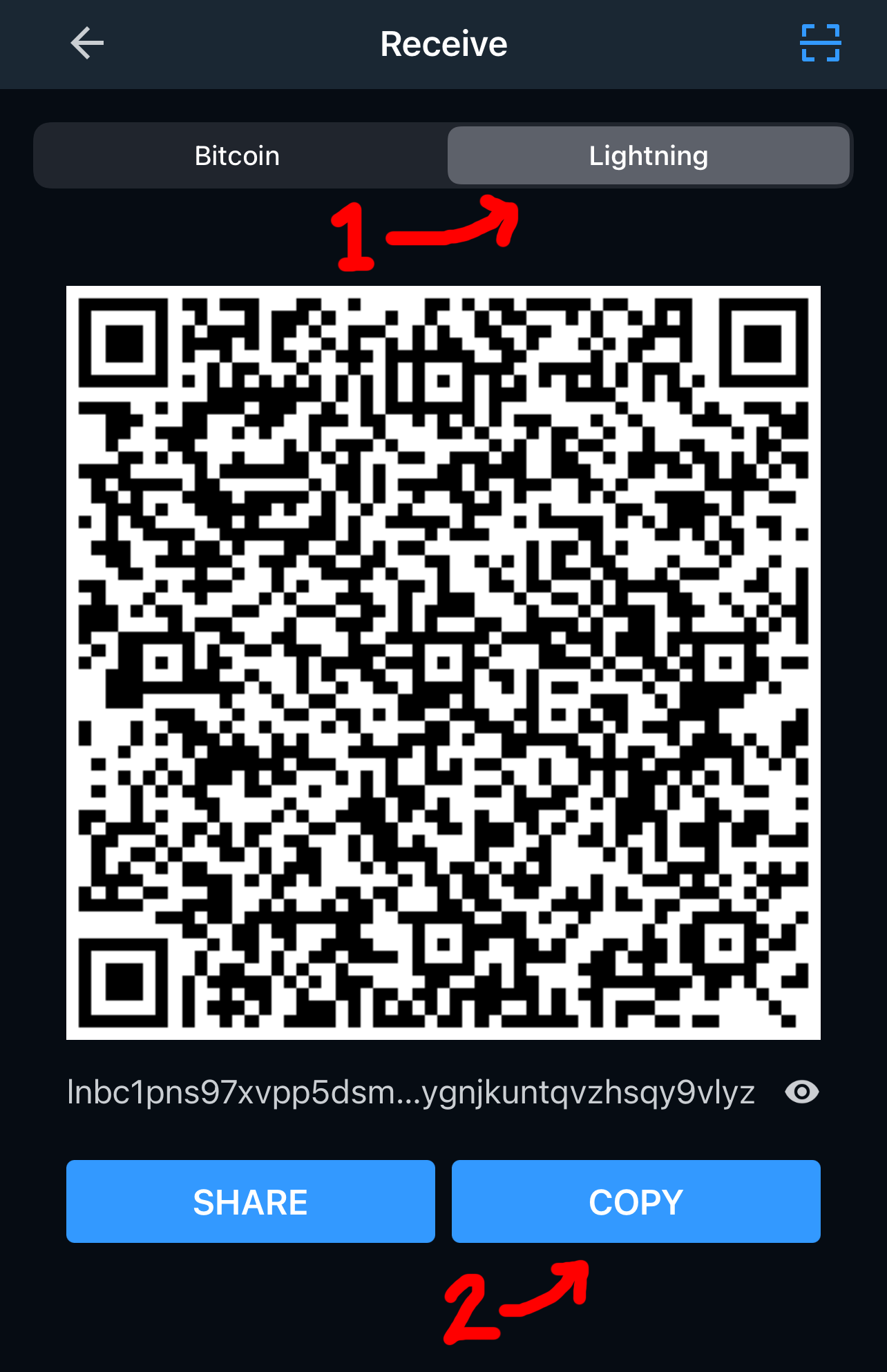 Follow the highlighted steps to reveal and copy your wallet address.